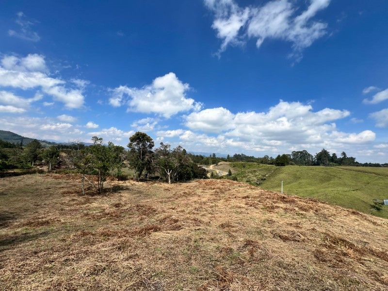 Lote en venta Antioquia Rionegro Rionegro 2993 m2 Habitaciones 0 Baños 0 Garajes 0 Precio $1200000000