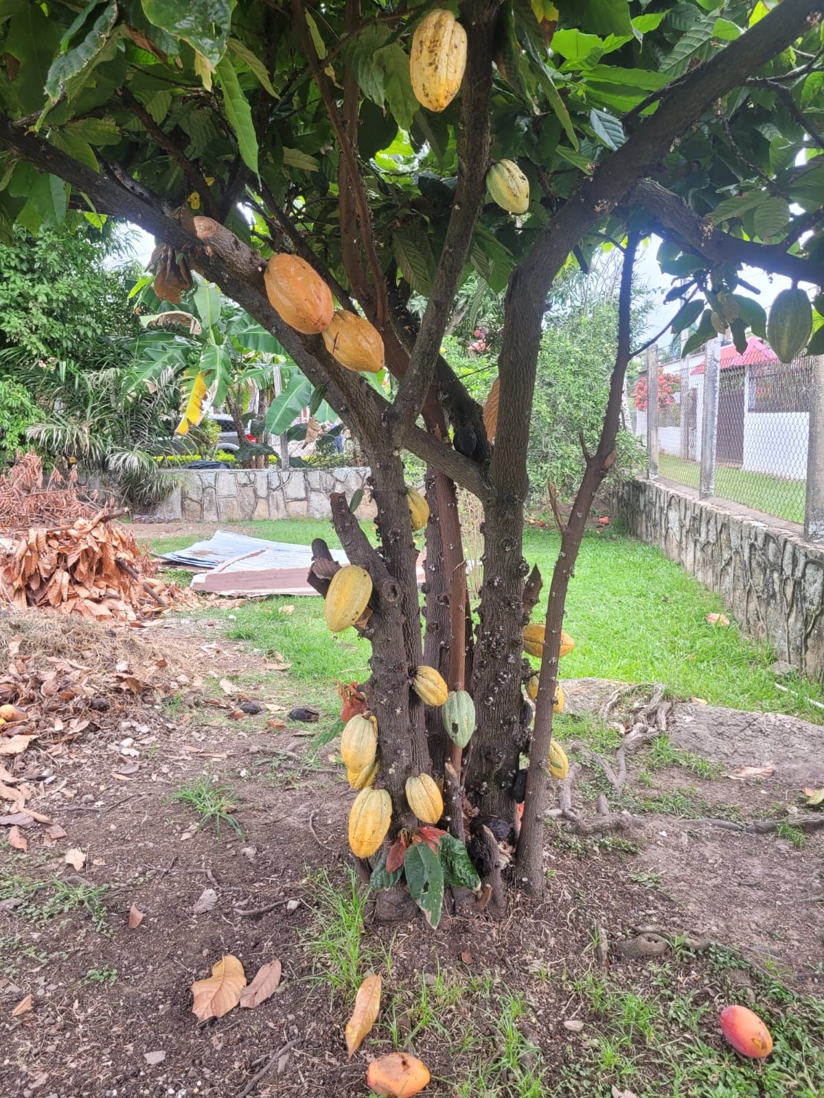 Finca en venta Cundinamarca Fusagasugá Ub El Retorno 155 m2 Habitaciones 4 Baños 3 Garajes 3 Precio $950000000