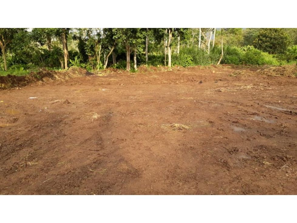 Lote en venta Caldas Manizales Manizales 2103 m2 Habitaciones 0 Baños 0 Garajes 0 Precio $315000000