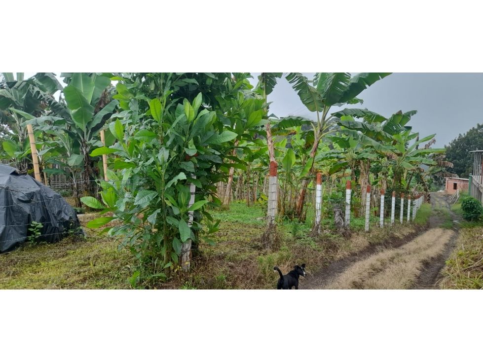 Finca en venta Caldas Manizales Manizales 244 m2 Habitaciones 5 Baños 2 Garajes 20 Precio $1000000000