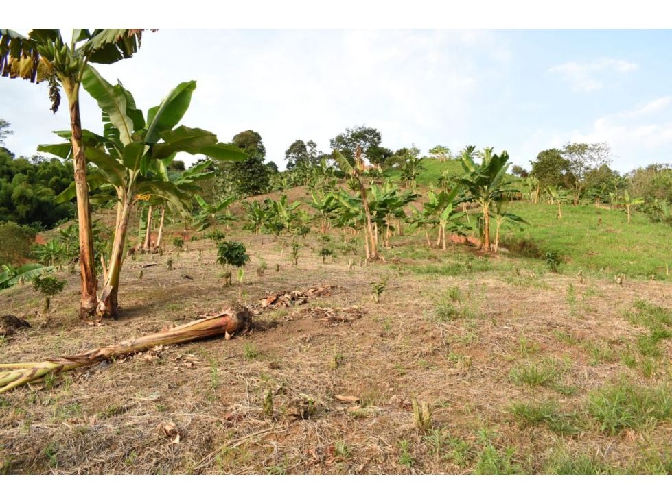 Lote en venta Caldas Manizales Manizales 6000 m2 Habitaciones 0 Baños 0 Garajes 0 Precio $300000000