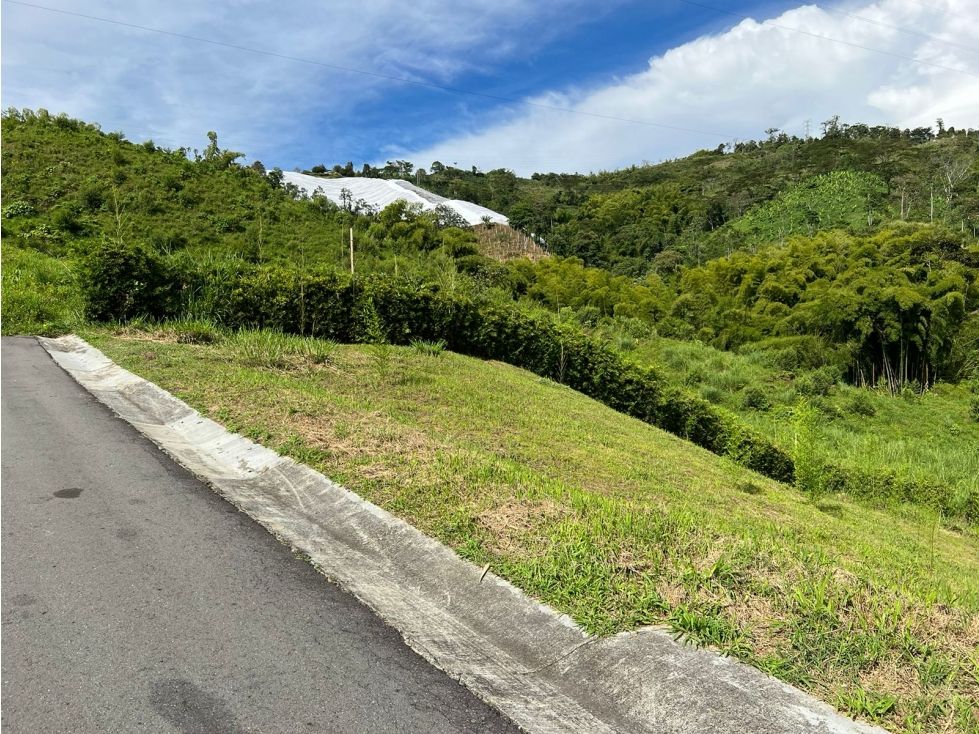 Lote en venta Caldas Manizales Manizales 900 m2 Habitaciones 0 Baños 0 Garajes 0 Precio $350000000