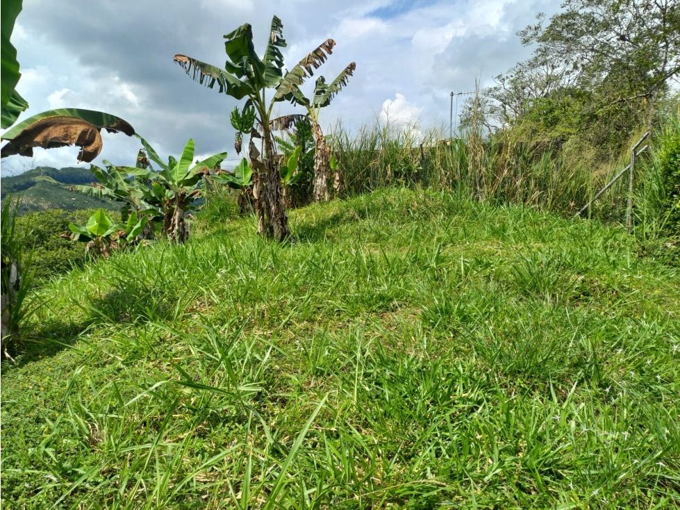 Lote en venta Arauca Arauca Arauca 3800 m2 Habitaciones 0 Baños 0 Garajes 0 Precio $250000000