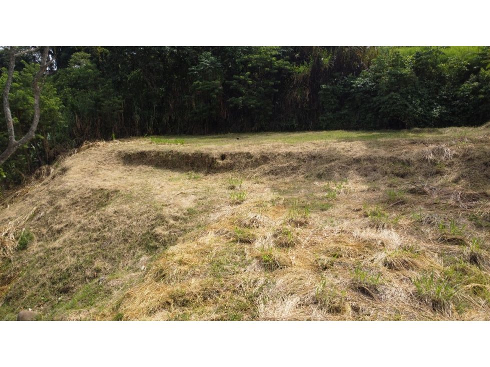 Lote en venta Caldas Manizales Manizales 1495 m2 Habitaciones 0 Baños 0 Garajes 0 Precio $210000000