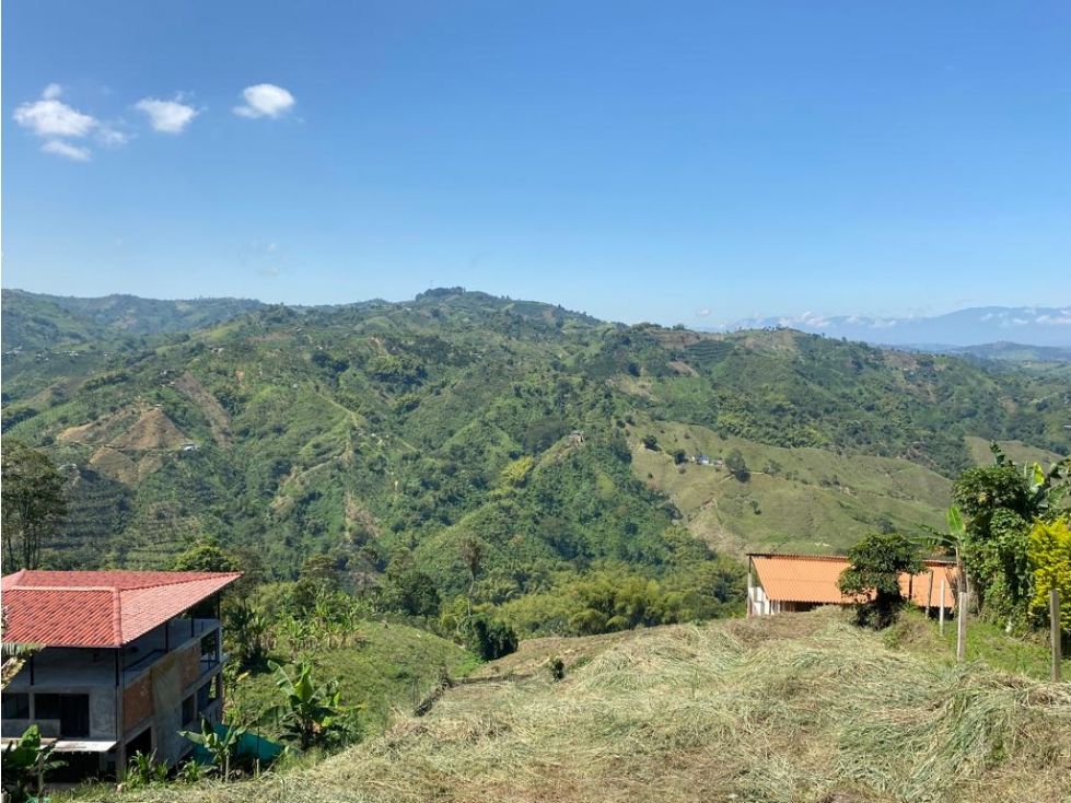 Lote en venta Caldas Manizales Manizales 1000 m2 Habitaciones 0 Baños 0 Garajes 0 Precio $165000000