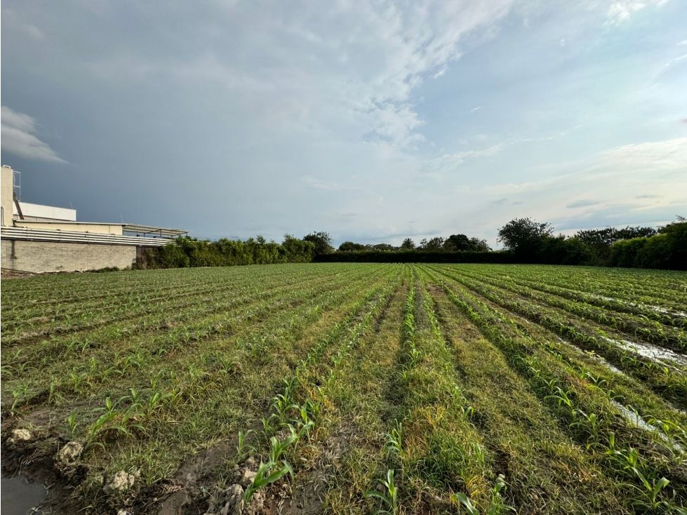 Lote en venta Valle Del Cauca Palmira Palmira 9354 m2 Habitaciones 0 Baños 0 Garajes 0 Precio $3000000000