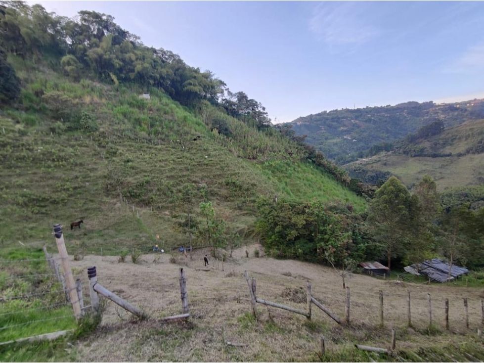 Lote en venta Caldas Manizales Manizales 14000 m2 Habitaciones 0 Baños 0 Garajes 0 Precio $120000000