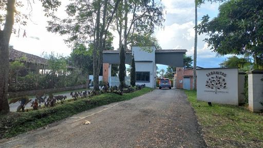 Lote en venta Risaralda Pereira Laureles Ii Etapa 2000 m2 Habitaciones 0 Baños 0 Garajes 0 Precio $280000000