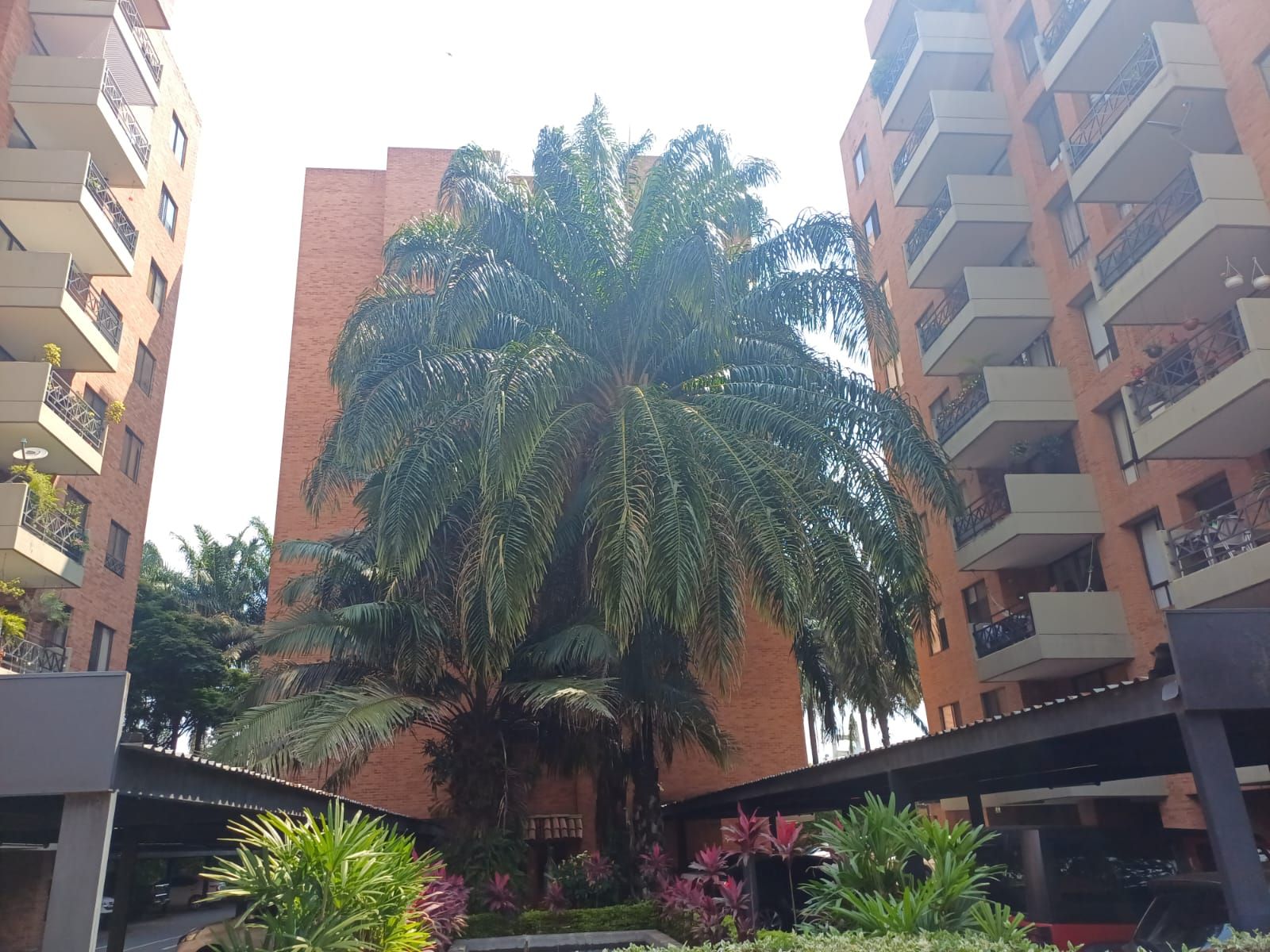 Apartamento en venta Valle Del Cauca Cali El Ingenio 80 m2 Habitaciones 3 Baños 2 Garajes 2 Precio $370000000