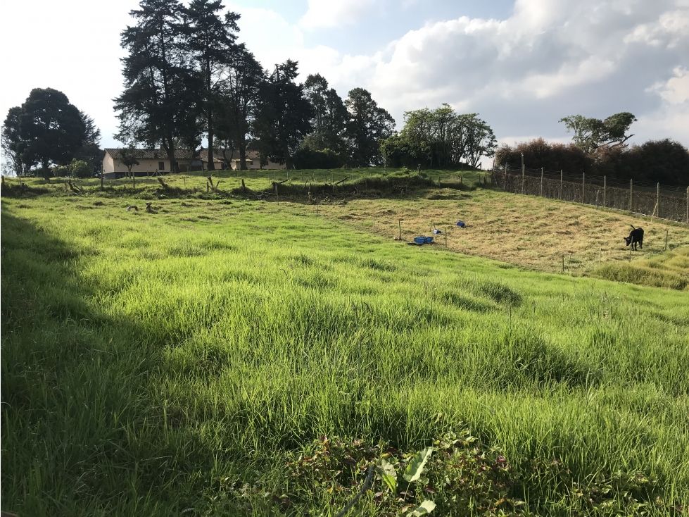 Lote en venta Antioquia Medellín Medellín 2000 m2 Habitaciones 0 Baños 0 Garajes 0 Precio $1300000000