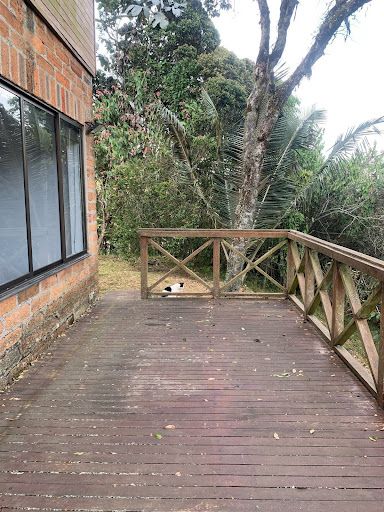 Finca en arriendo Antioquia Rionegro Rionegro 180 m2 Habitaciones 3 Baños 3 Garajes 1 Precio $6400000