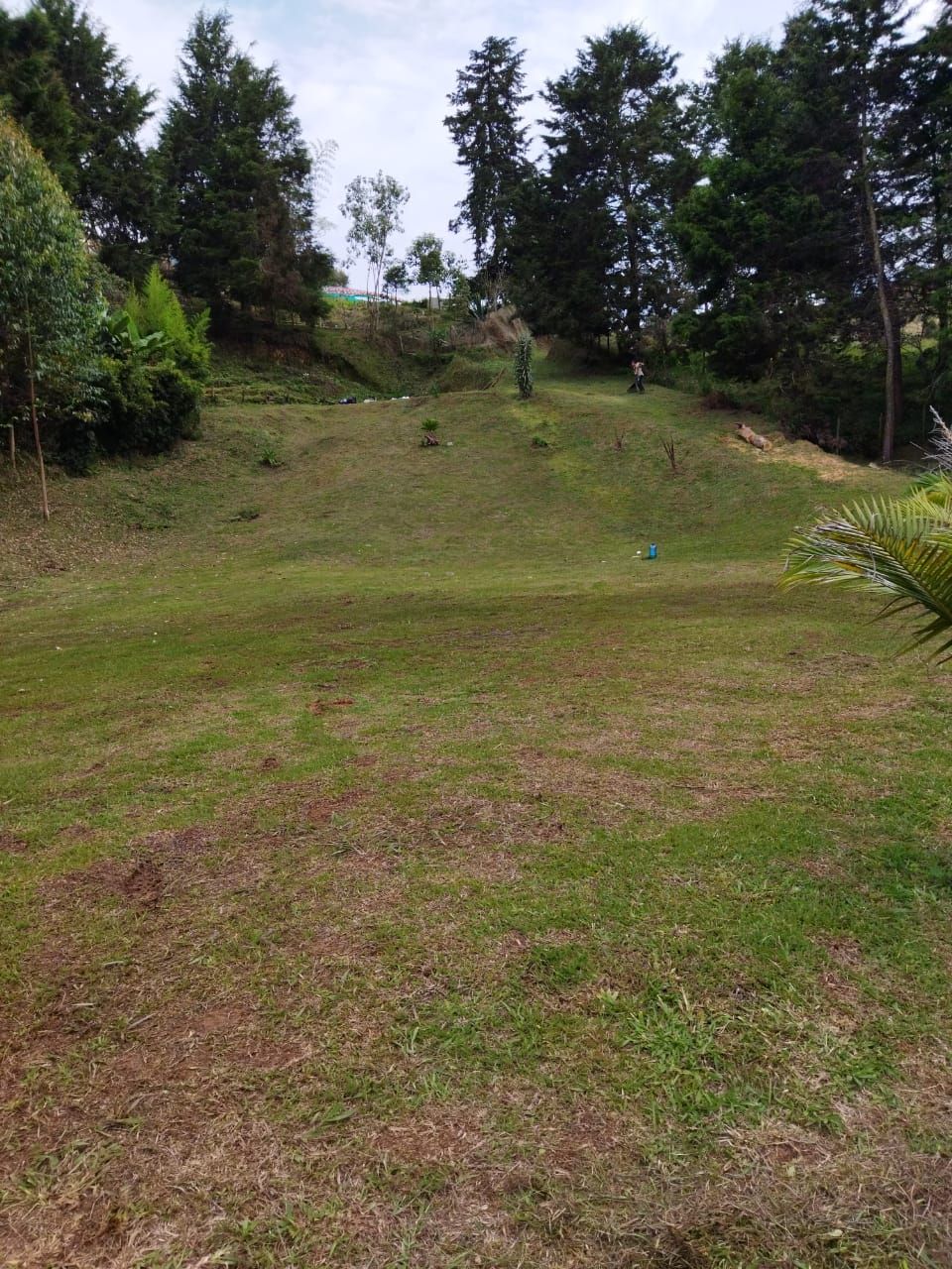 Lote en venta Antioquia Rionegro S3-de-10 4000 m2 Habitaciones 0 Baños 0 Garajes 0 Precio $474000000