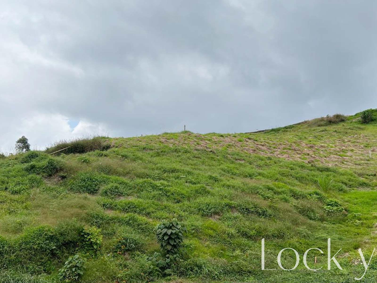 Lote en venta Antioquia Rionegro Rionegro 0 m2 Habitaciones 0 Baños 0 Garajes 0 Precio $500000000