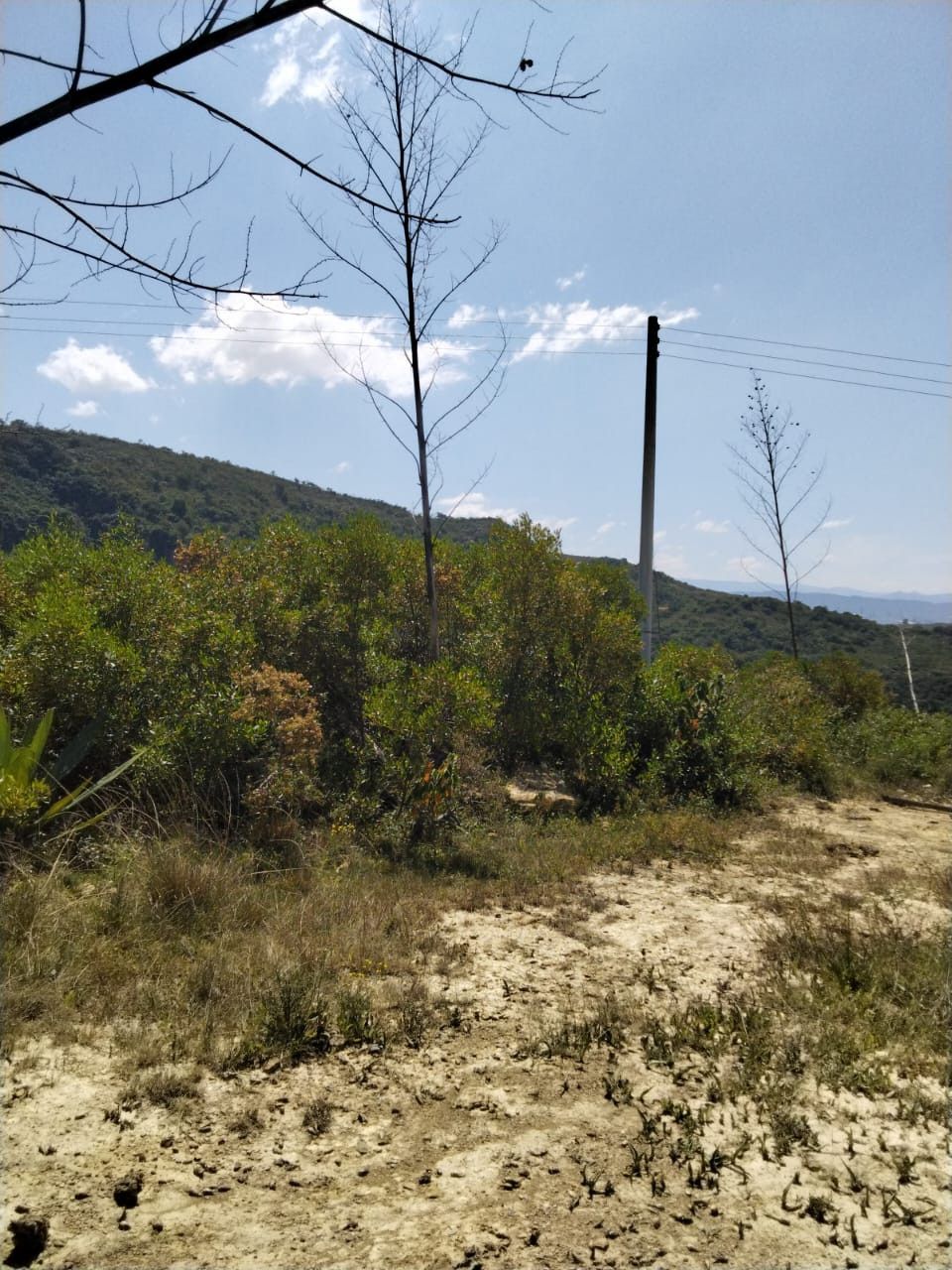 Lote en venta Boyacá Gachantivá Gachantiva 44767 m2 Habitaciones 0 Baños 0 Garajes 0 Precio $230000000