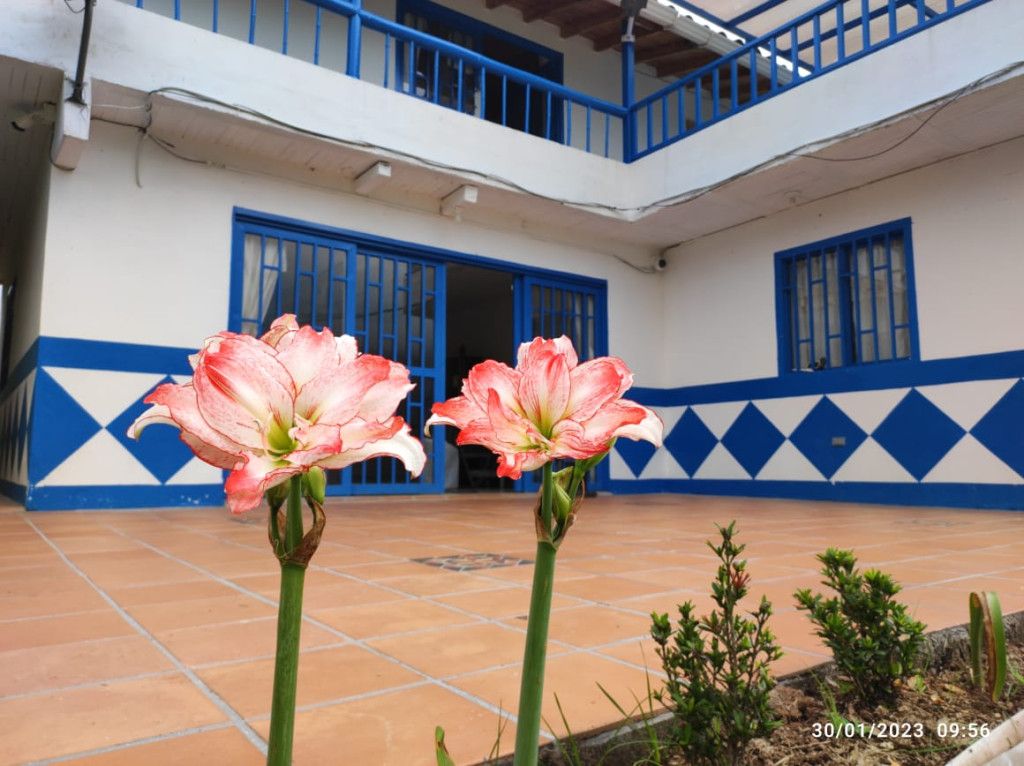 Finca en venta Antioquia Cocorná Cocorna 200 m2 Habitaciones 6 Baños 4 Garajes 2 Precio $720000000