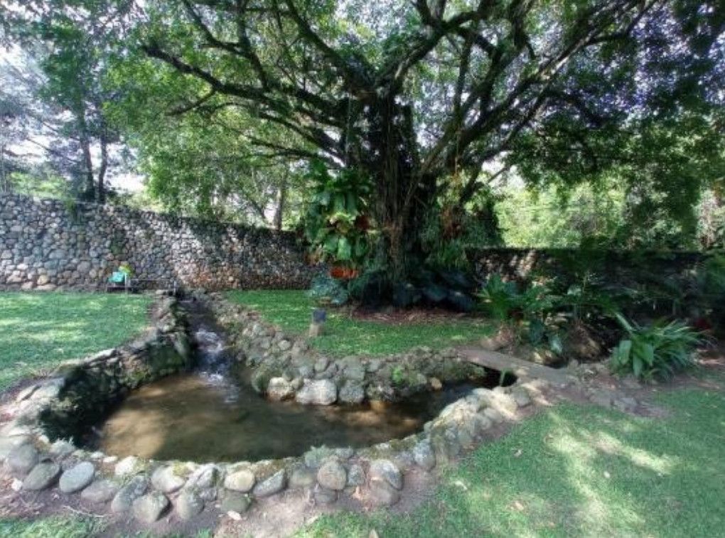 Casa Campestre en venta Valle Del Cauca Cali Parcelaciones Pance 609 m2 Habitaciones 4 Baños 4 Garajes 2 Precio $3560000000