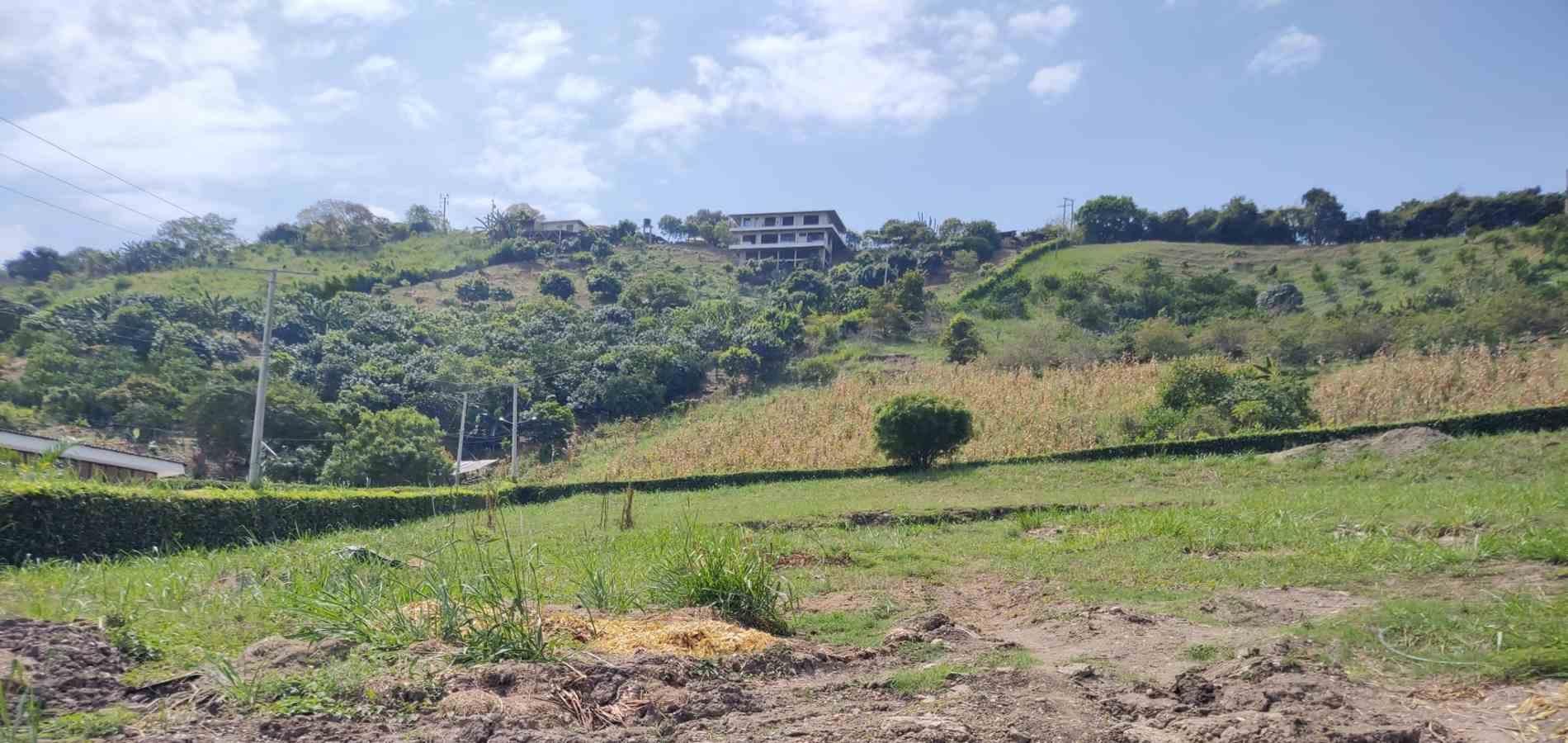 Lote en venta Cundinamarca Anapoima Anapoima 0 m2 Habitaciones 0 Baños 0 Garajes 0 Precio $310000000