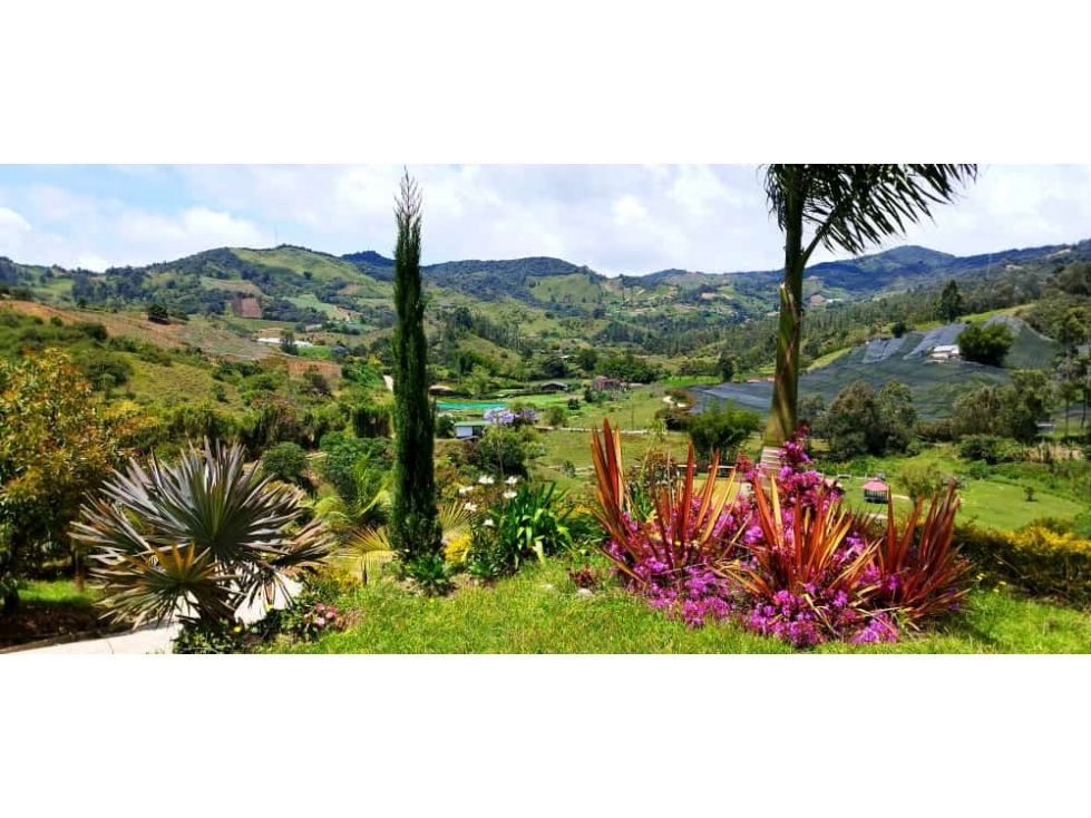 Lote en venta Antioquia El Carmen De Viboral El Carmen De Viboral 2000 m2 Habitaciones 0 Baños 0 Garajes 0 Precio $480000000