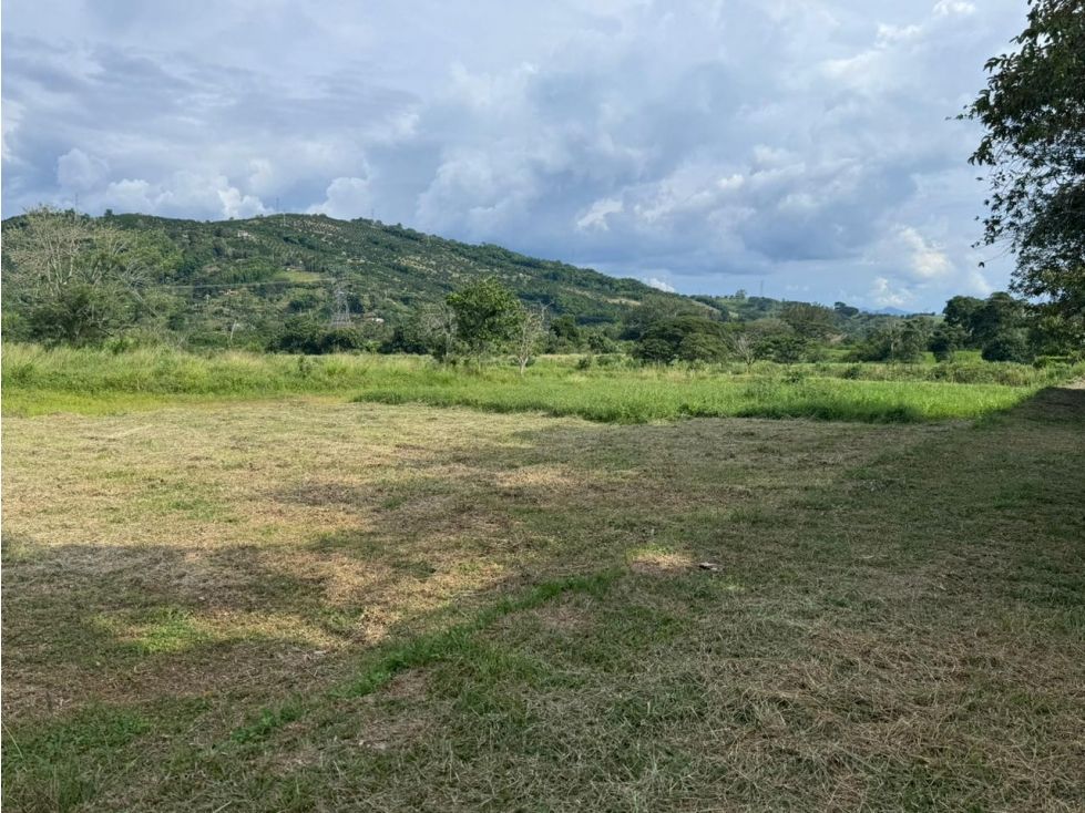 Lote en venta Caldas Manizales Manizales 204 m2 Habitaciones 0 Baños 0 Garajes 0 Precio $125000000