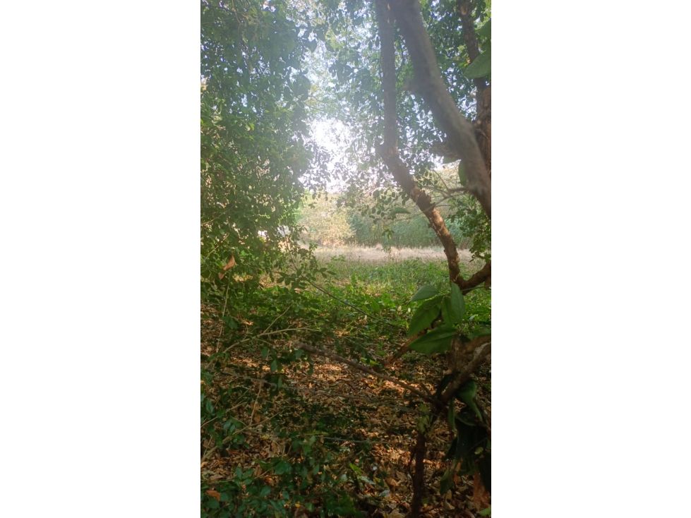 Lote en venta Antioquia Santafé De Antioquia Santafé De Antioquia 2400 m2 Habitaciones 0 Baños 0 Garajes 0 Precio $350000000