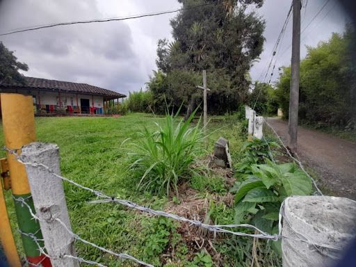 Finca en venta Risaralda Pereira El Bosque 13 40841 m2 Habitaciones 5 Baños 2 Garajes 0 Precio $800000000