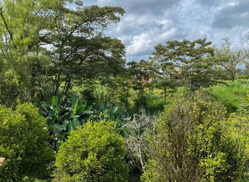 Finca en arriendo Antioquia Rionegro San Antonio 300 m2 Habitaciones 4 Baños 4 Garajes 3 Precio $9000000