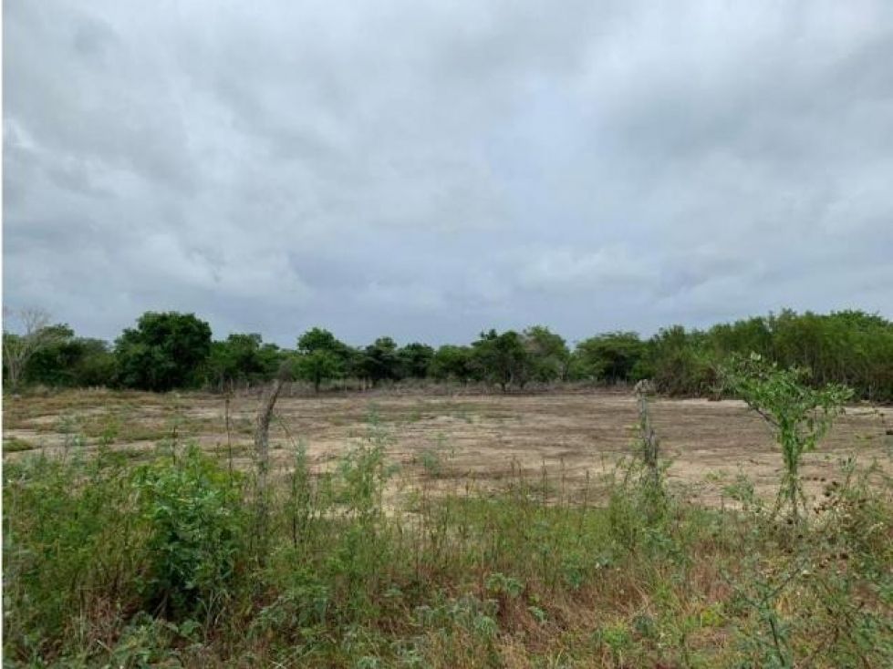 Lote en venta Bolívar Cartagena Cartagena 10000 m2 Habitaciones 0 Baños 0 Garajes 0 Precio $3000000000
