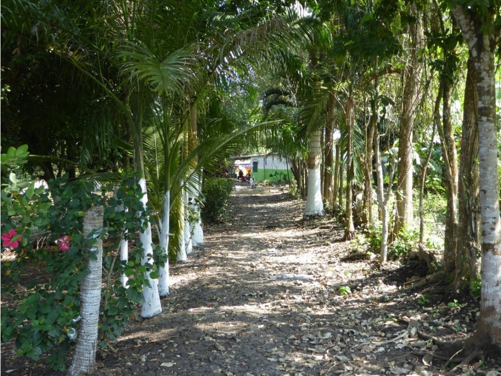 Lote en venta Bolívar Turbaco Turbaco 5693 m2 Habitaciones 0 Baños 0 Garajes 0 Precio $700000000