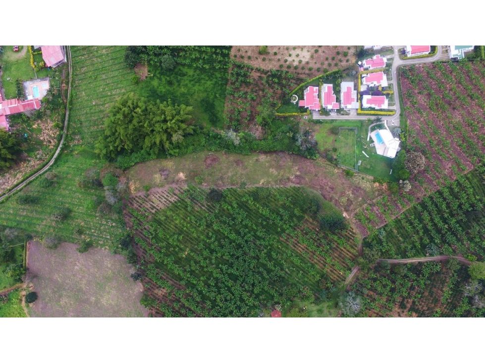 Lote en venta Quindío Armenia Armenia 9000 m2 Habitaciones 0 Baños 0 Garajes 0 Precio $700000000
