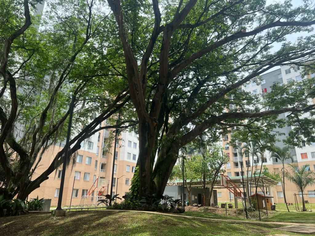 Apartamento en venta Valle Del Cauca Cali Aguacatal 60 m2 Habitaciones 3 Baños 2 Garajes 1 Precio $200000000