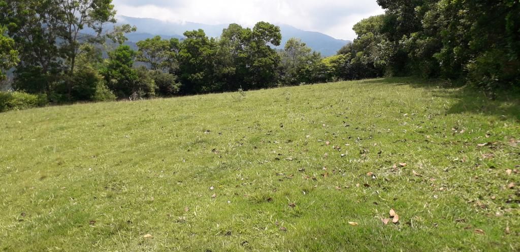Lote en venta Valle Del Cauca Palmira Palmira 0 m2 Habitaciones 0 Baños 0 Garajes 0 Precio $700000000