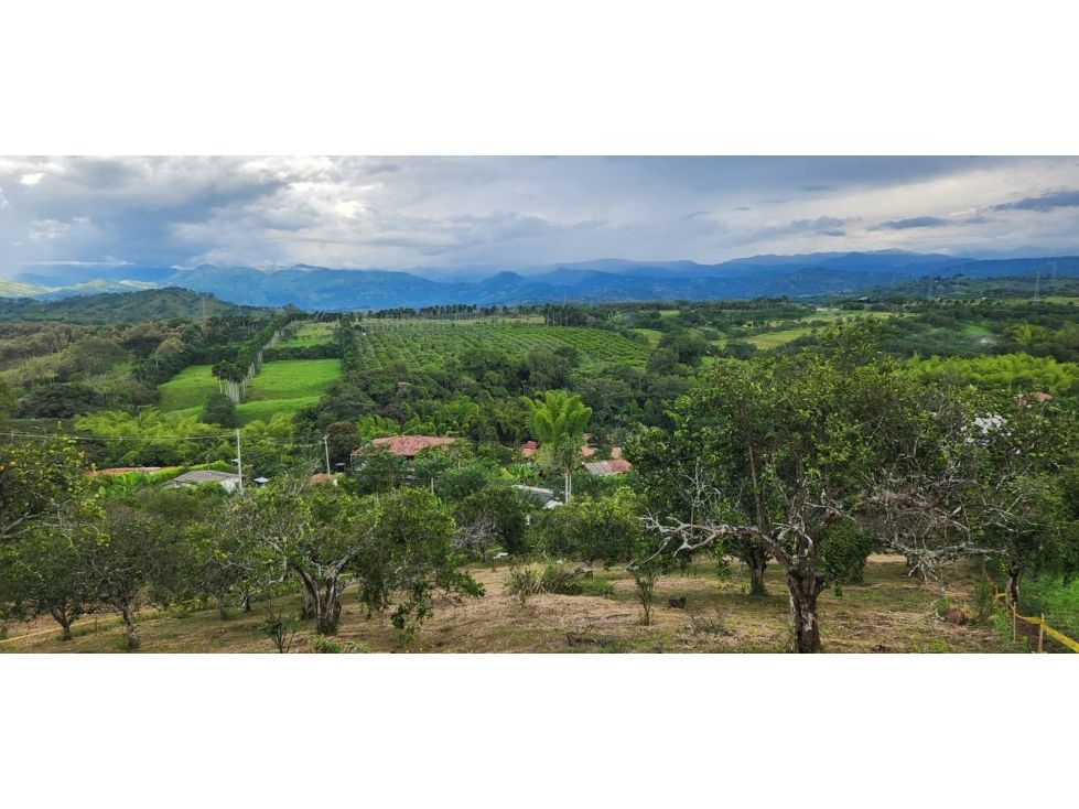 Lote en venta Caldas Manizales Manizales 1509 m2 Habitaciones 0 Baños 0 Garajes 0 Precio $190000000