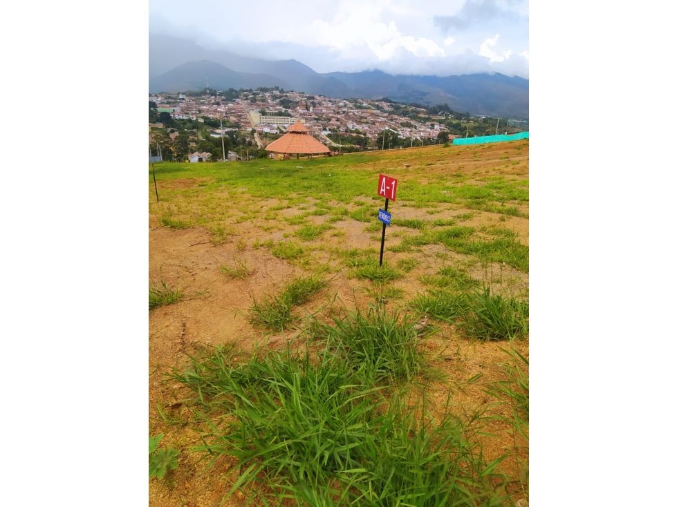 Lote en venta Santander Zapatoca Zapatoca 200 m2 Habitaciones 0 Baños 0 Garajes 0 Precio $115000000