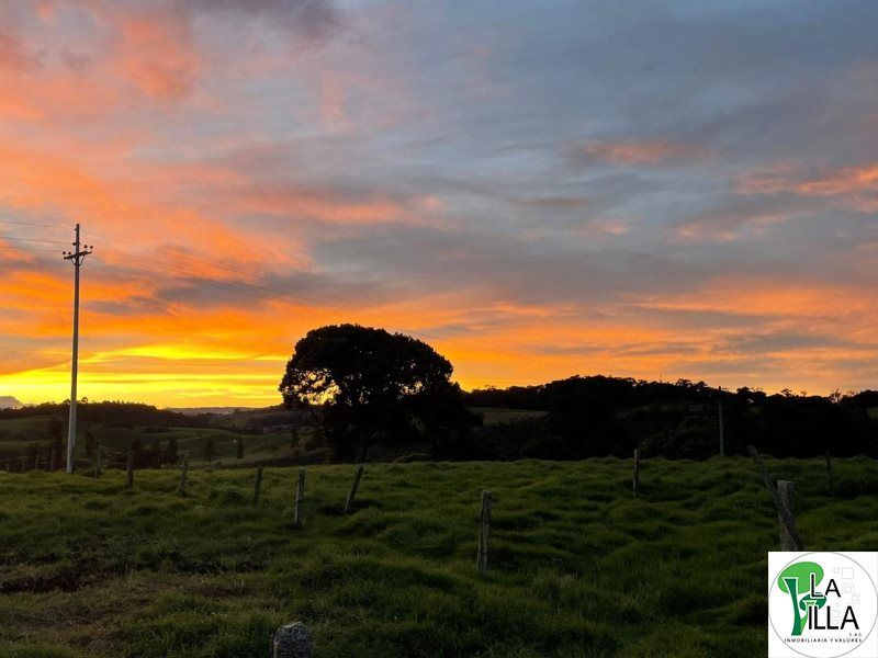 Lote en venta Antioquia Santa Rosa De Osos Santa Rosa De Osos 0 m2 Habitaciones 0 Baños 0 Garajes 0 Precio $3750000000