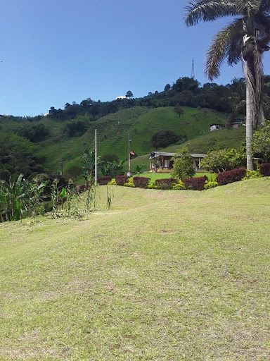 Lote en venta Risaralda Pereira Pereira 3100 m2 Habitaciones 0 Baños 0 Garajes 0 Precio $403000000