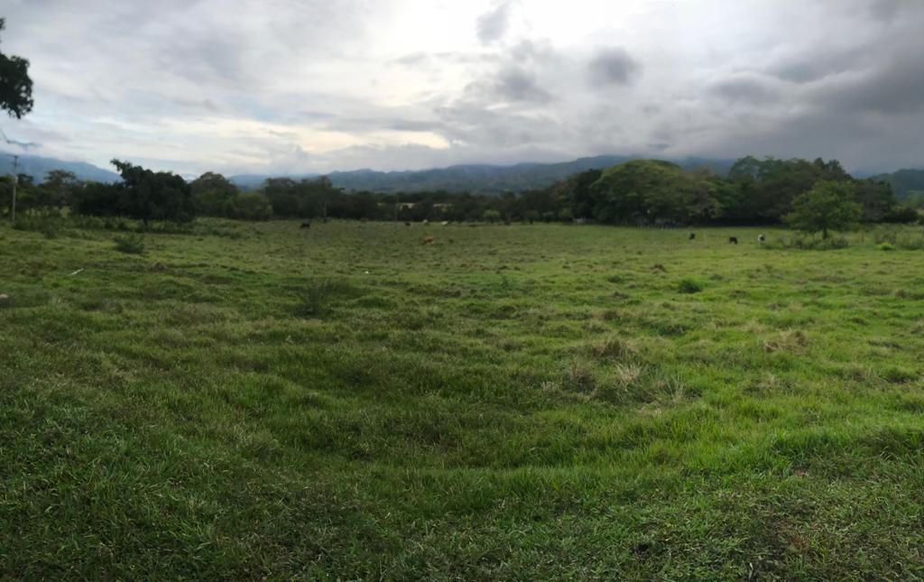 Lote en venta Tolima Ibagué Vereda Buenos Aires 31238 m2 Habitaciones 0 Baños 0 Garajes 0 Precio $150000