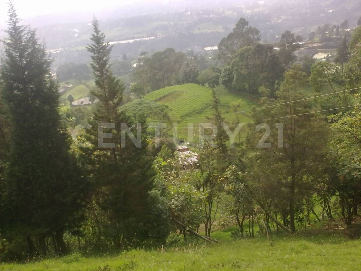 Lote en venta Cundinamarca Cachipay Cachipay 150 m2 Habitaciones 0 Baños 1 Garajes 0 Precio $1100000000