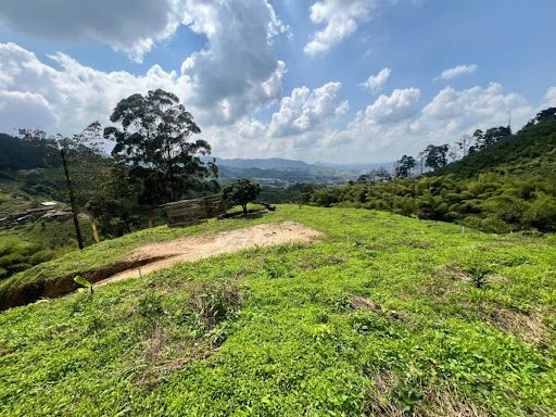 Lote en venta Risaralda Dosquebradas Ub Villa Carola 2343 m2 Habitaciones 0 Baños 0 Garajes 0 Precio $315000000