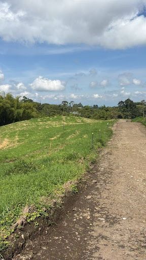 Lote en venta Quindío Filandia Filandia 1500 m2 Habitaciones 0 Baños 0 Garajes 0 Precio $450000000