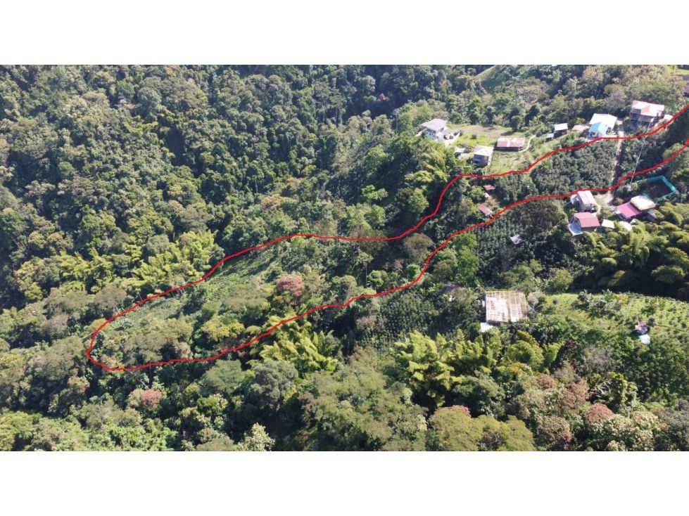 Lote en venta Caldas Manizales Manizales 30000 m2 Habitaciones 0 Baños 0 Garajes 0 Precio $980000000