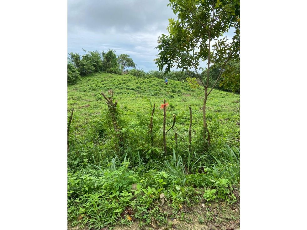 Lote en venta Bolívar Turbaco Turbaco 14300 m2 Habitaciones 0 Baños 0 Garajes 0 Precio $800000000