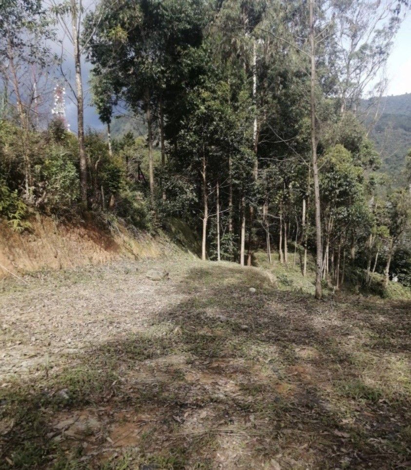Lote en venta Antioquia Medellín Altos Del Poblado 2000 m2 Habitaciones 0 Baños 0 Garajes 0 Precio $1400000000