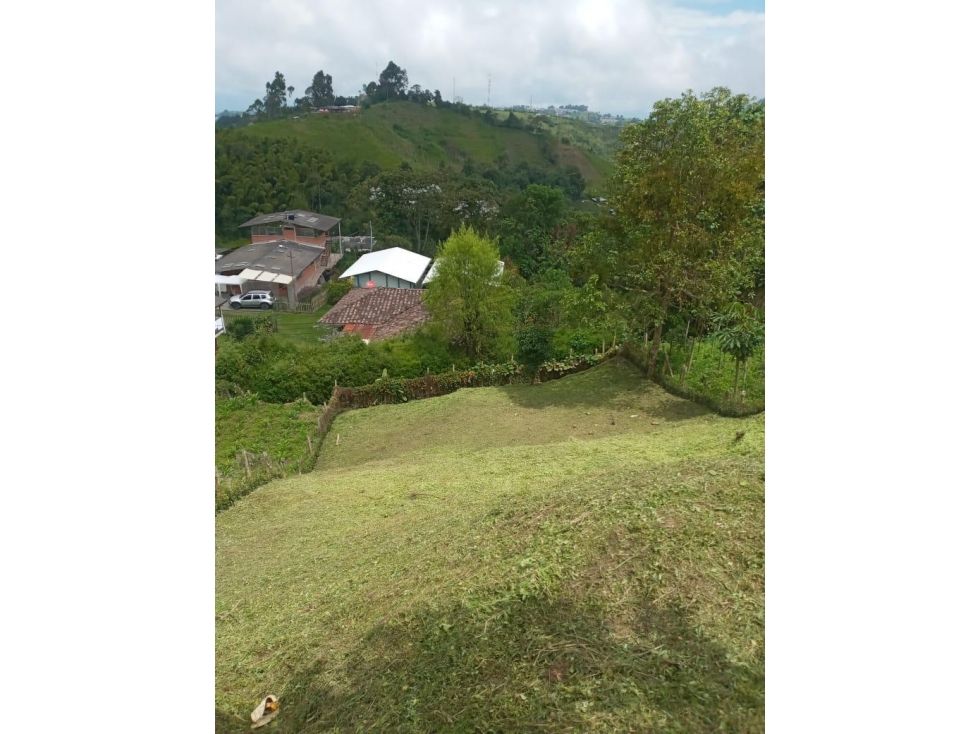 Lote en venta Caldas Villamaría Turín 800 m2 Habitaciones 0 Baños 0 Garajes 0 Precio $230000000