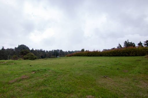 Lote en venta Antioquia Envigado Envigado 2517 m2 Habitaciones 0 Baños 0 Garajes 0 Precio $1400000000