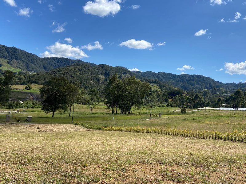 Lote en venta Antioquia La Ceja Centro 1265 m2 Habitaciones 0 Baños 0 Garajes 0 Precio $550000000