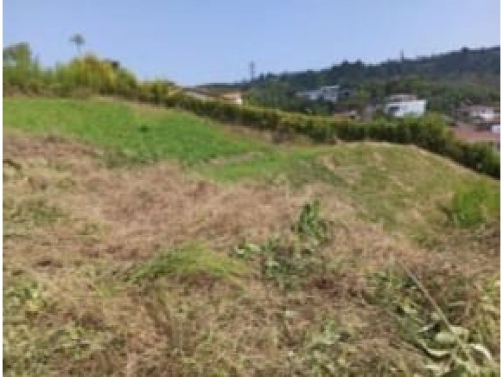 Lote en venta Caldas Palestina Palestina 723 m2 Habitaciones 0 Baños 0 Garajes 0 Precio $120000000