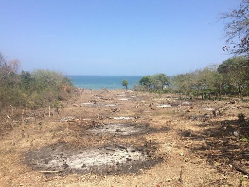 Lote en venta Bolívar Cartagena Cartagena 230000 m2 Habitaciones 0 Baños 0 Garajes 0 Precio $2000000000