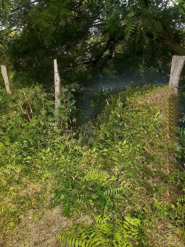 Lote en venta Cundinamarca Girardot Ub Colina Campestre 1187 m2 Habitaciones 0 Baños 1 Garajes 0 Precio $200000000