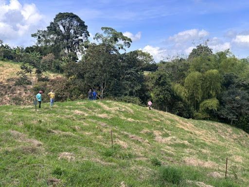 Lote en venta Quindío Filandia Filandia 1500 m2 Habitaciones 0 Baños 0 Garajes 0 Precio $450000000