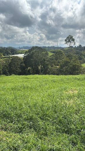 Lote en venta Quindío Filandia Filandia 1500 m2 Habitaciones 0 Baños 0 Garajes 0 Precio $450000000